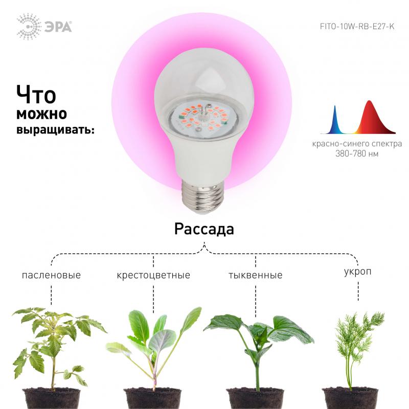 Фитолампа для растений светодиодная ЭРА E27 10W 1310K FITO-10W-RB-E27-K Б0039069