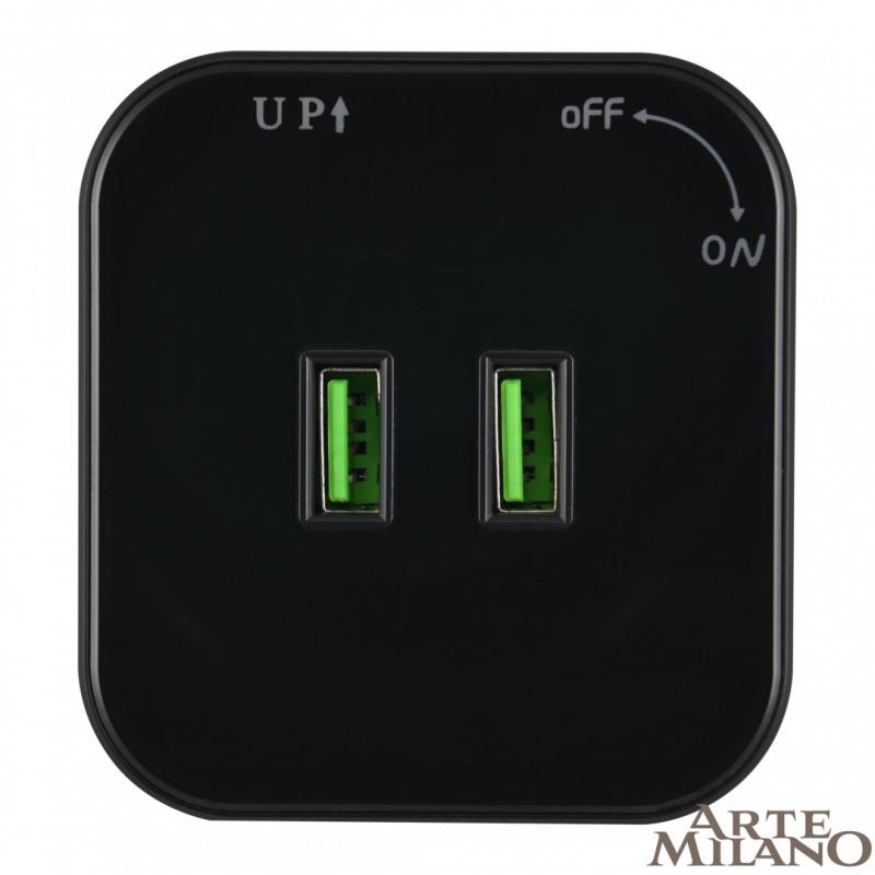 Трековая розетка Arte Milano Am-track-sockets 380022TS/USBx2 Black