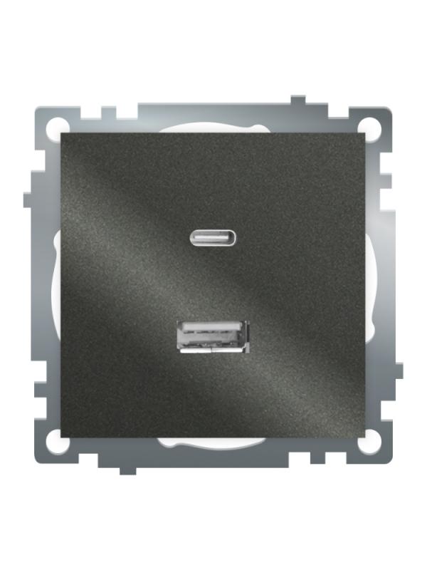 Розетка 2-местная USB + type C Stekker Катрин GLS10-7116-06 50052
